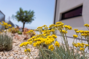 73H8 - Holiday home Black & White: