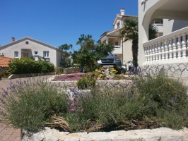 57S3 - Studio Lavanda nr. 3: