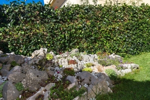 63A1 - Apartment Nadan nr. 1: