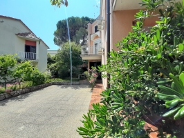 54B4 - Bungalow Cherry:
