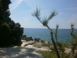 48A2 - Apartment Roko: