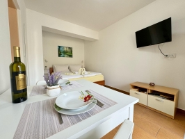 17A4 - Apartment-studio Dijana nr. 4: